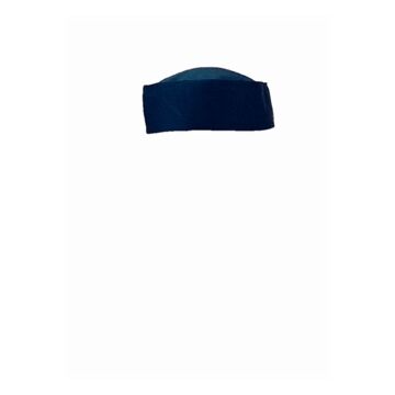 Blue A204 Chefs Skull Cap