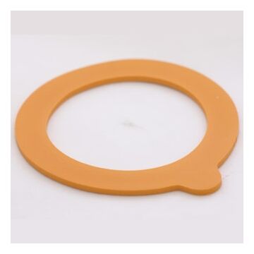 Spare Seal - For P490, P491, P492, P493, P494