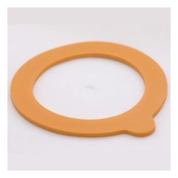 Spare Seal - For P495