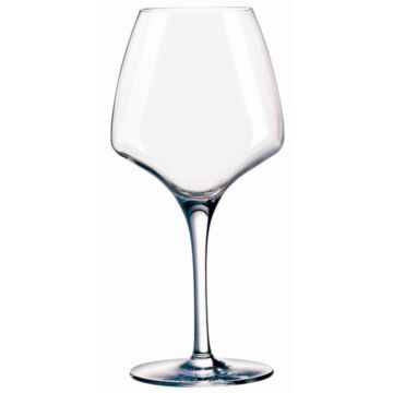 Chef & Sommelier DP755 Pro Tasting Wine Glasses