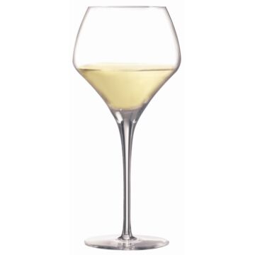 Chef & Sommelier DP756 Open Up Wine Glasses
