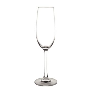 Olympia GF728 Modale Crystal Champagne Flute