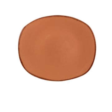 Steelite V7109 Terramesa Spice Plates