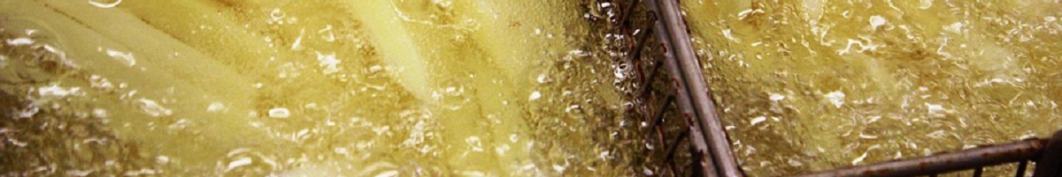 A Buying Guide to Commercial Fryers