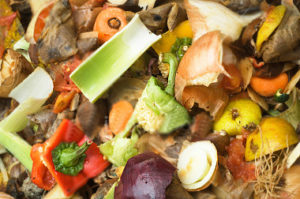 close up of food waste