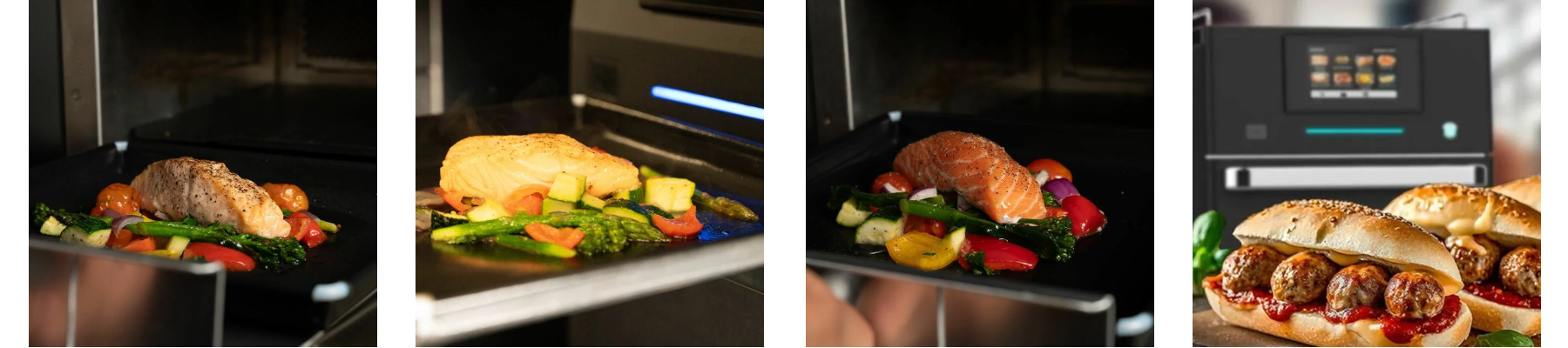 images of a fish fillet, chicken breast, salmon and meatball sub